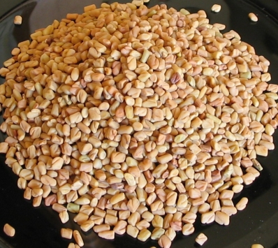 Fenugreek Oil 4